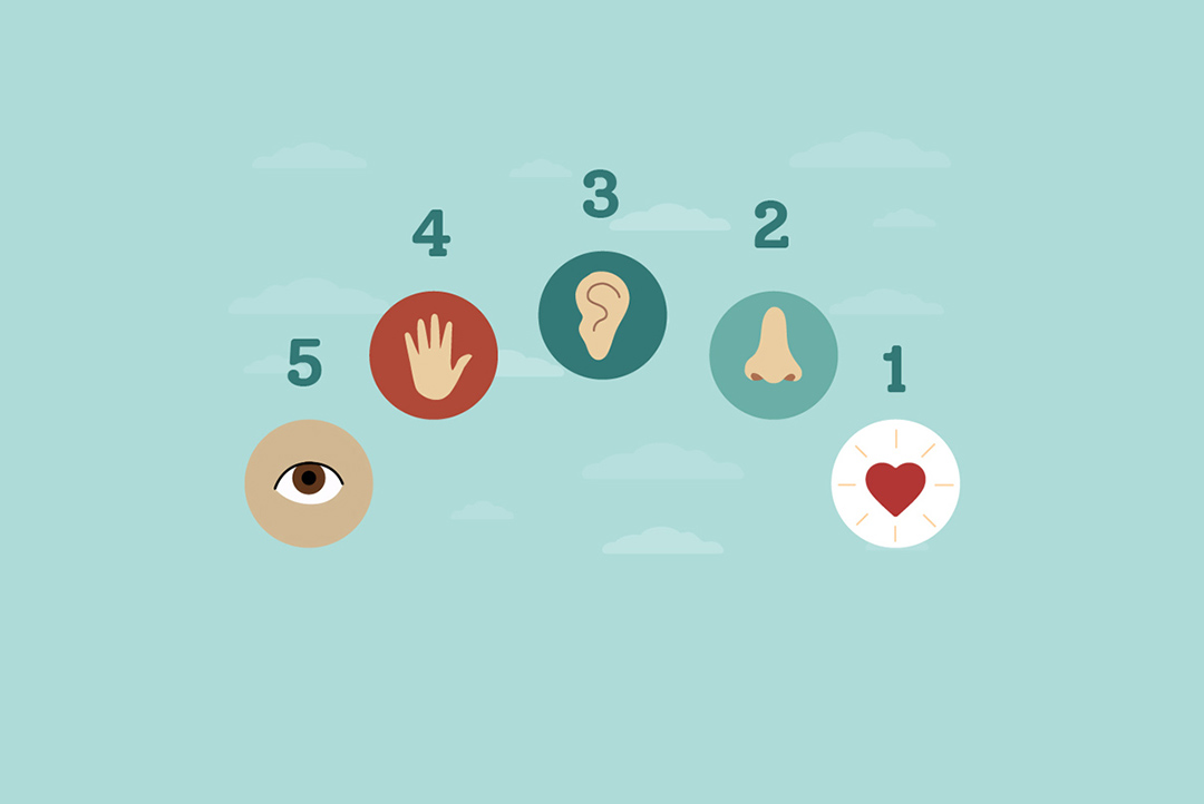 the 5 senses